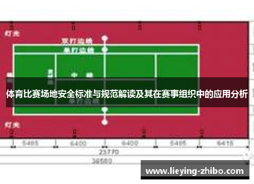 体育比赛场地安全标准与规范解读及其在赛事组织中的应用分析