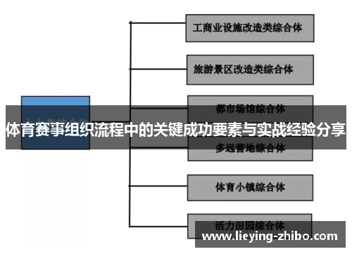 体育赛事组织流程中的关键成功要素与实战经验分享