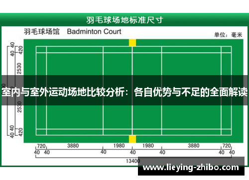 室内与室外运动场地比较分析：各自优势与不足的全面解读