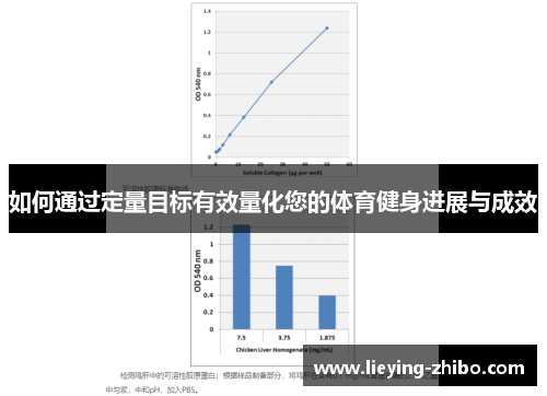 如何通过定量目标有效量化您的体育健身进展与成效